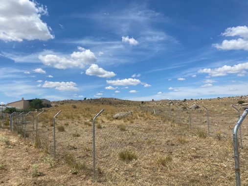 PHOTO-2021-08-05-19-22-20_1