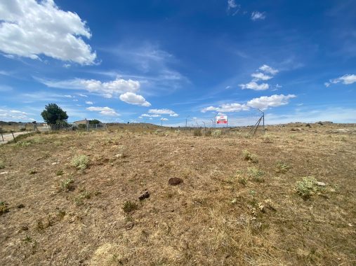 PHOTO-2021-08-05-19-22-24_1