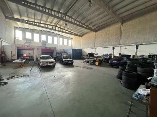 PHOTO-2022-10-17-11-47-59_1