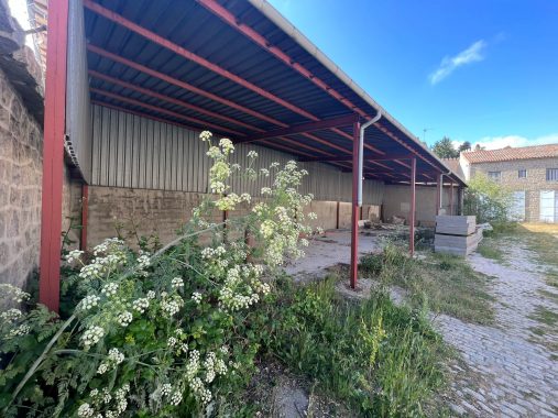 PHOTO-2023-05-18-10-47-13_1