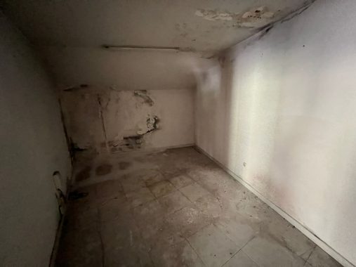 PHOTO-2023-05-18-11-06-22_5