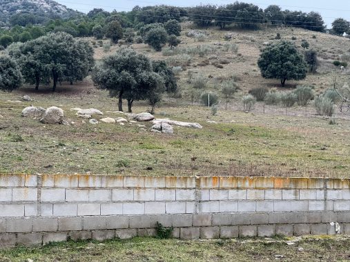 PHOTO-2024-01-09-19-06-07