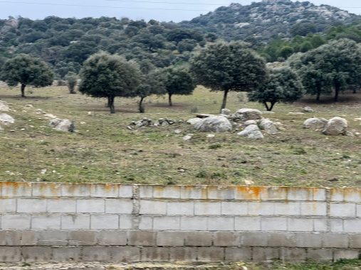 PHOTO-2024-01-09-19-06-16