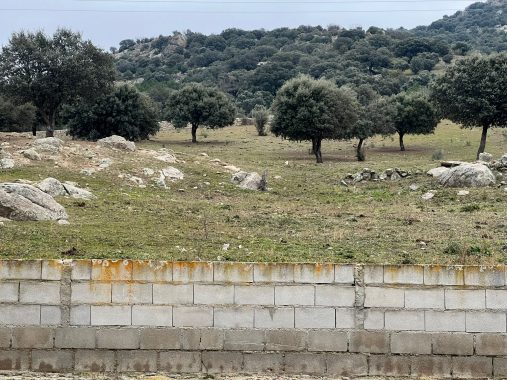 PHOTO-2024-01-09-19-06-22