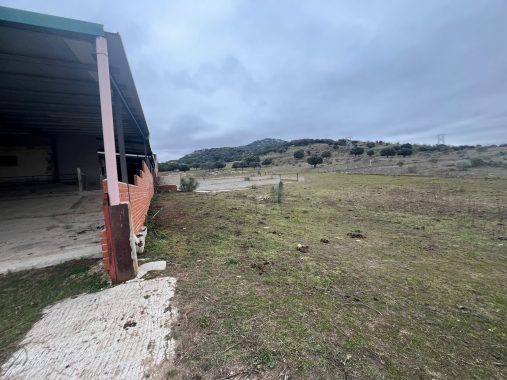 PHOTO-2024-01-09-19-06-24_3