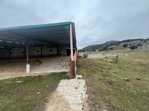 PHOTO-2024-01-09-19-06-24_4