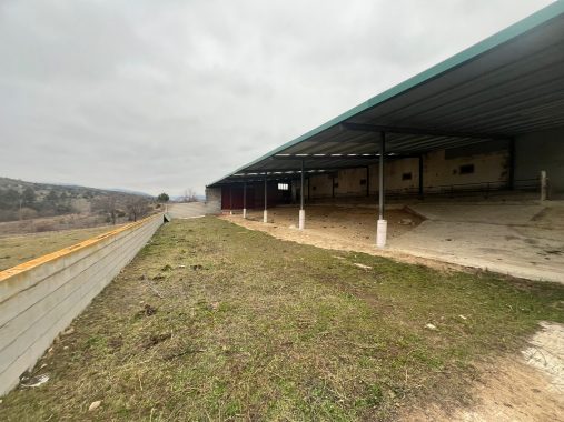 PHOTO-2024-01-09-19-06-25