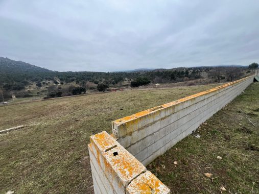 PHOTO-2024-01-09-19-06-25_1