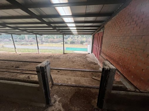 PHOTO-2024-01-09-19-06-25_3