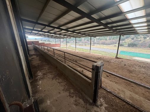 PHOTO-2024-01-09-19-06-25_4