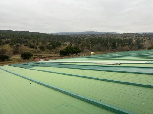 PHOTO-2024-01-09-19-06-25_6