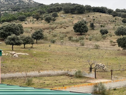 PHOTO-2024-01-09-19-06-26