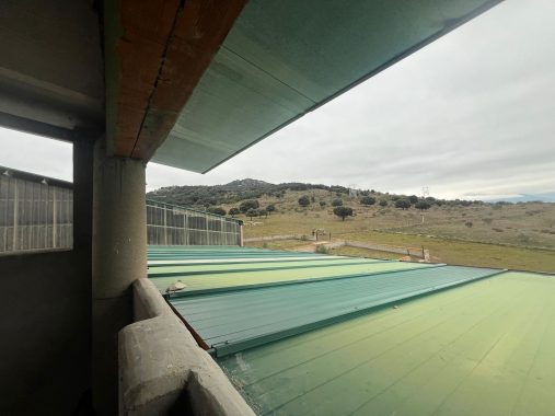 PHOTO-2024-01-09-19-06-26_1