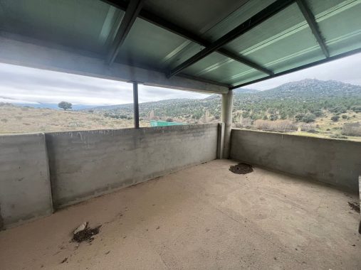 PHOTO-2024-01-09-19-06-26_4