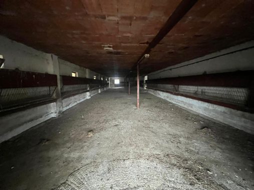 PHOTO-2024-01-09-19-06-27_6