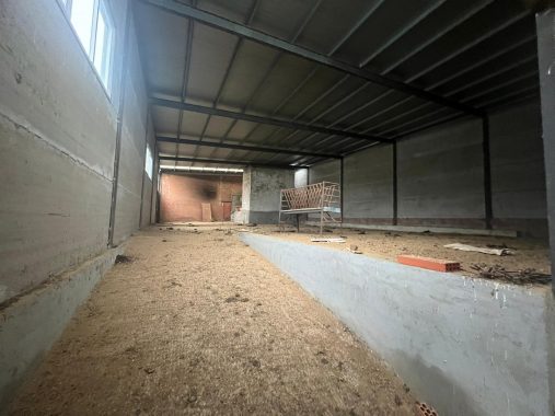 PHOTO-2024-01-09-19-06-28_3