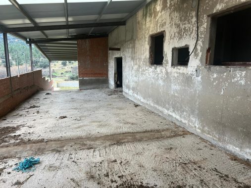 PHOTO-2024-01-09-19-06-28_5