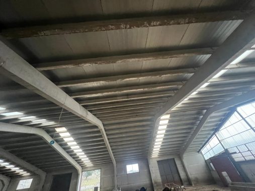 PHOTO-2024-01-09-19-06-29