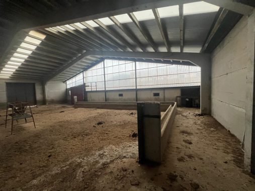 PHOTO-2024-01-09-19-06-29_1