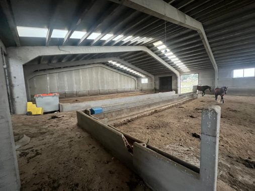 PHOTO-2024-01-09-19-06-30