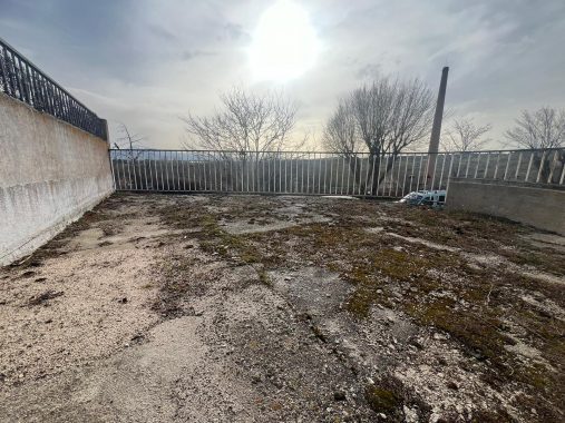 PHOTO-2024-03-18-17-38-44 (3)