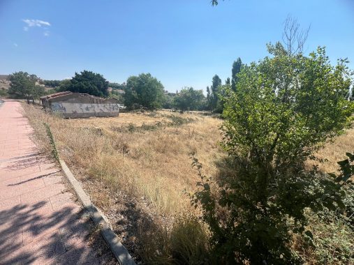 PHOTO-2024-07-27-12-48-40_3