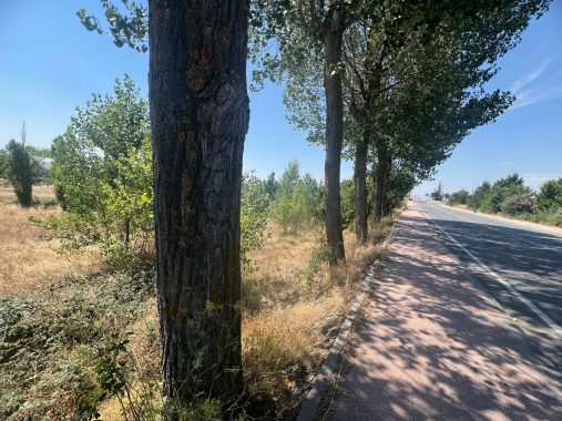 PHOTO-2024-07-27-12-48-40_4