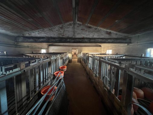 PHOTO-2024-12-20-17-13-32