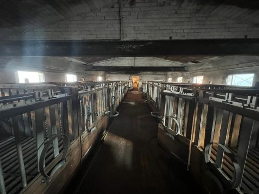 PHOTO-2024-12-20-17-13-32_1