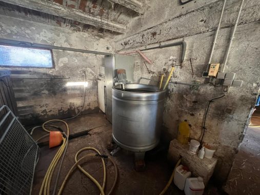 PHOTO-2024-12-20-17-13-35