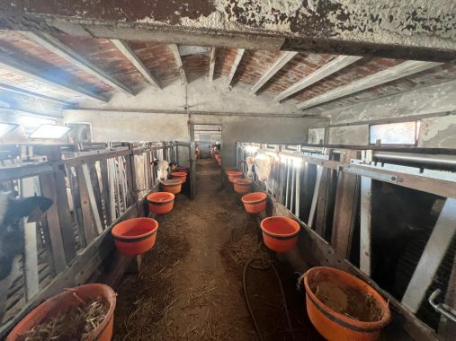 PHOTO-2024-12-20-17-13-36