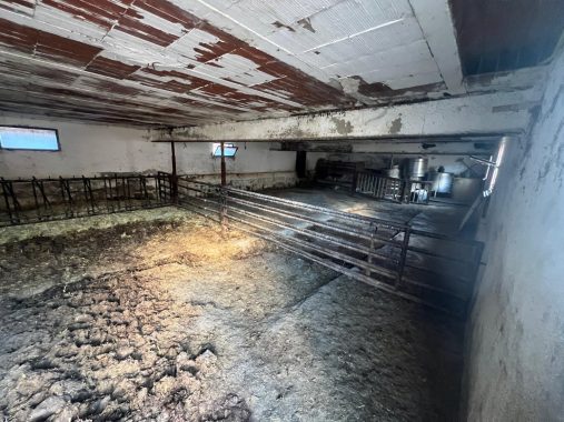 PHOTO-2024-12-20-17-13-40