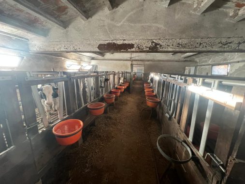 PHOTO-2024-12-20-17-13-41