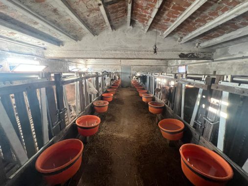 PHOTO-2024-12-20-17-13-41_1