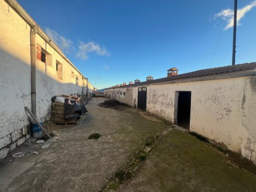 PHOTO-2024-12-20-17-13-41_2