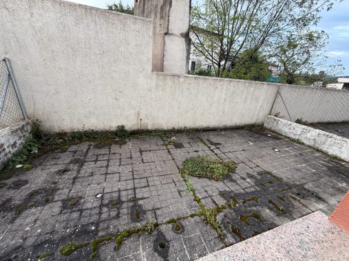 PHOTO-2026-04-08-19-38-56