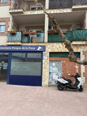 PHOTO-2026-04-08-19-39-04