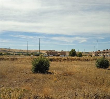 41947523_ddba5de84674edacdc959c8d78af79cba54a14c9