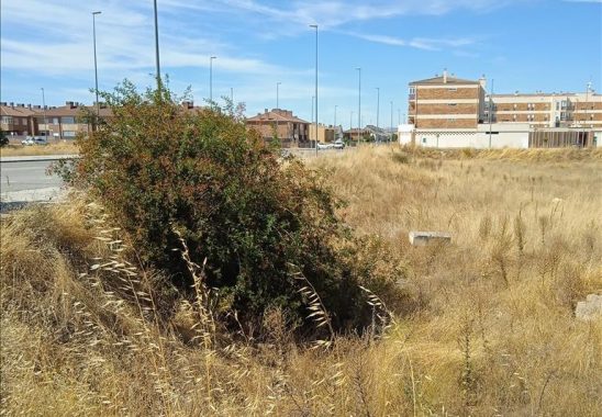 41947528_8a11519c89d9894c57888c43a27cc628068f4e91