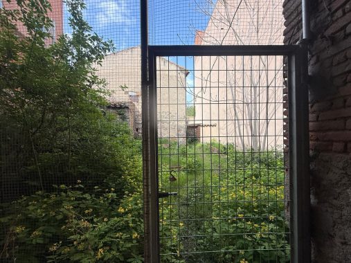 PHOTO-2025-04-30-17-49-23_1