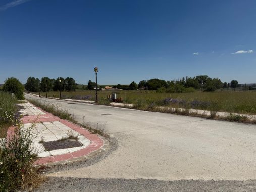 PHOTO-2025-05-28-17-41-56 (9)