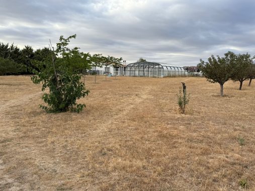 PHOTO-2025-08-30-14-46-24