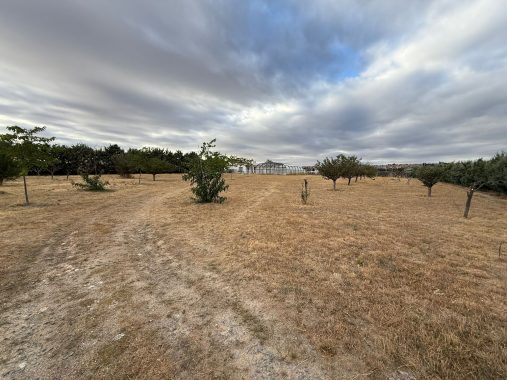 PHOTO-2025-08-30-14-46-28