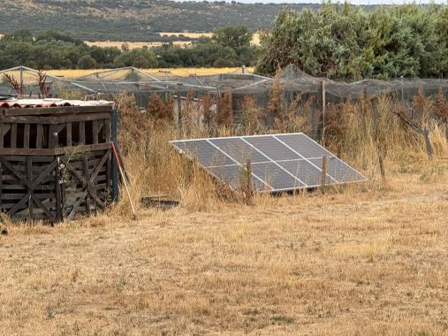 PHOTO-2025-08-30-14-46-31_3