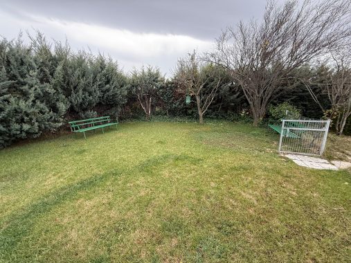 PHOTO-2025-11-15-13-34-54_2