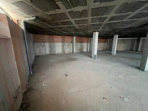 PHOTO-2026-01-08-12-31-51 (4)