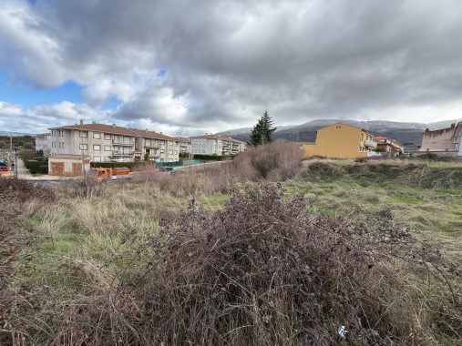 PHOTO-2026-02-14-13-26-19_2