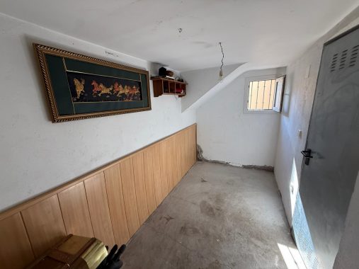 PHOTO-2026-02-17-12-41-53_1(1)