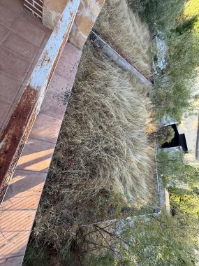 PHOTO-2026-02-18-18-24-52_7