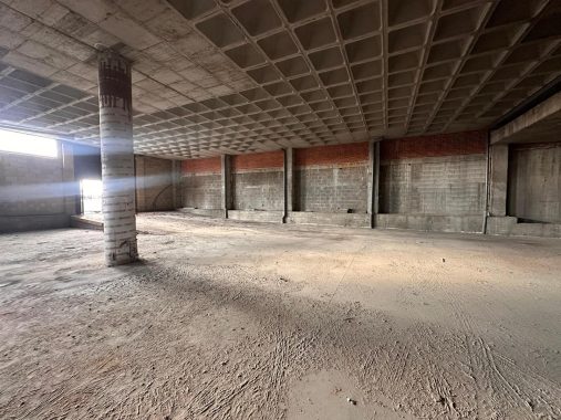 PHOTO-2026-02-26-10-24-17_1